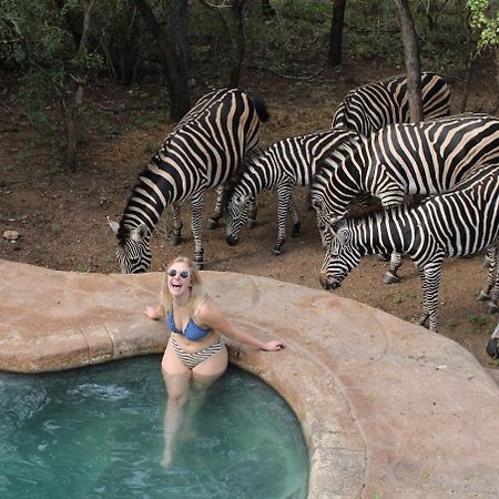 Kruger Park Hostel 말로스 파크 외부 사진