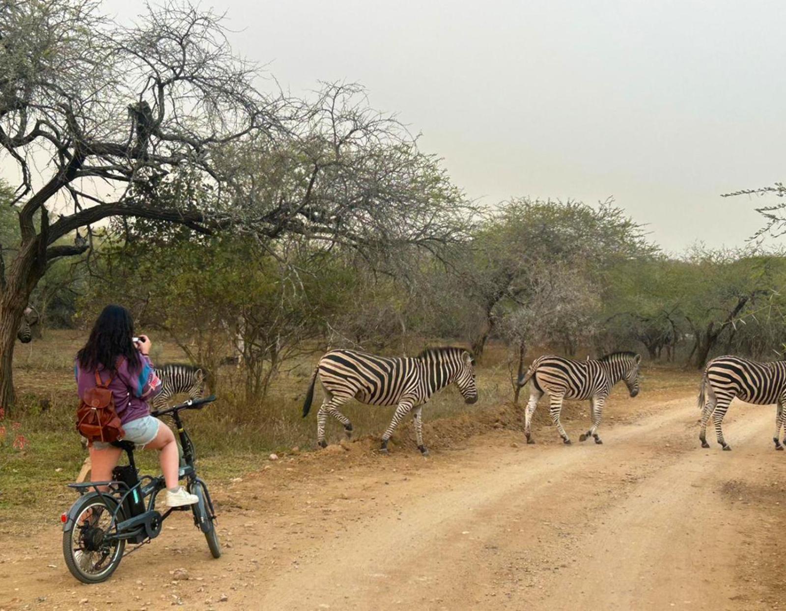 Kruger Park Hostel 말로스 파크 외부 사진