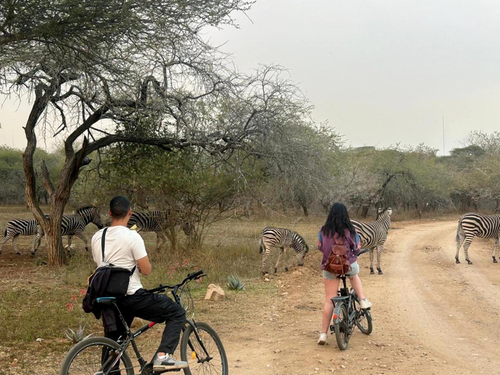 Kruger Park Hostel 말로스 파크 외부 사진